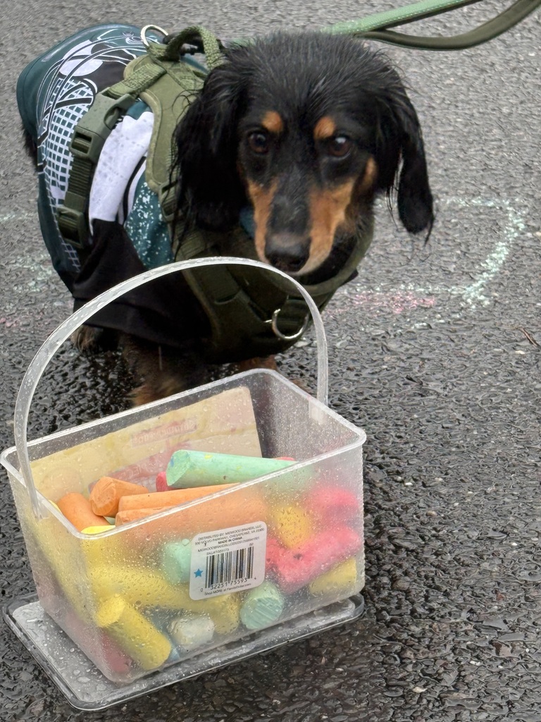 another dog from the event