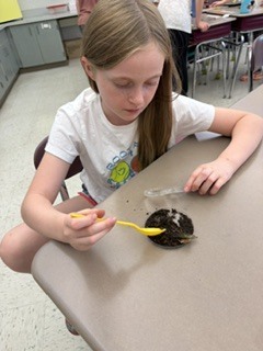 student looking at dirt