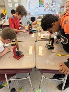 students observing soil