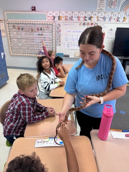 Students and Snake