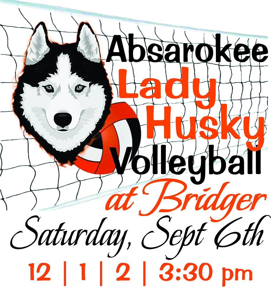 Lady Husky Volleyball