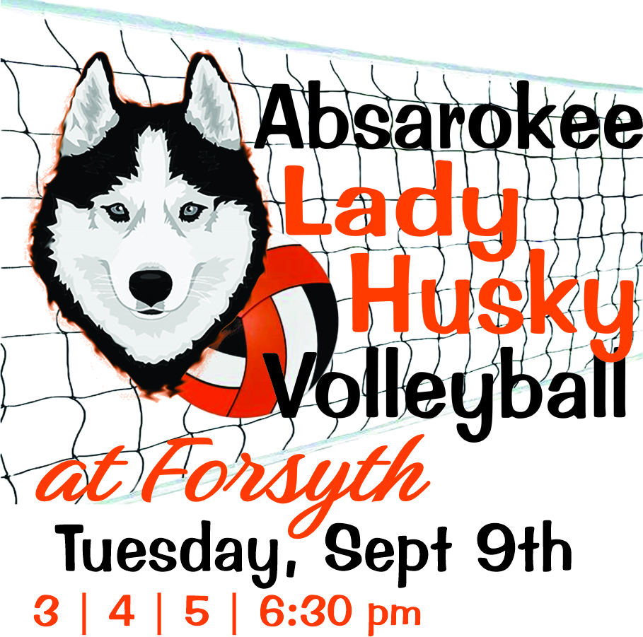 Lady Husky Volleyball