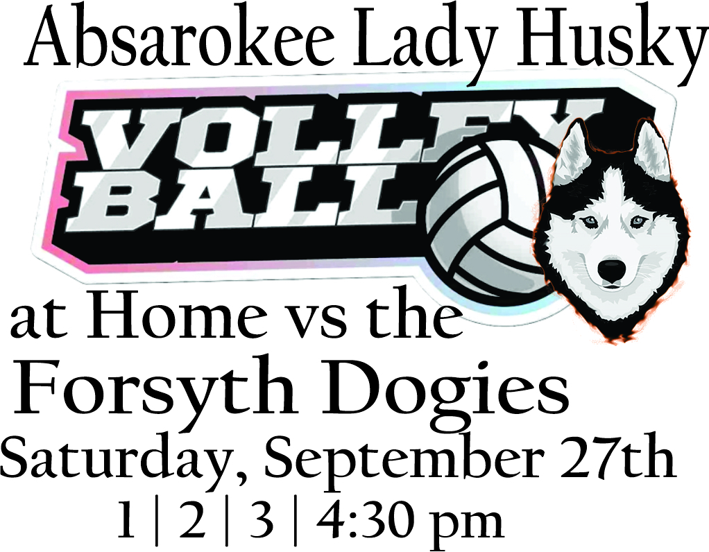 Lady Husky Volleyball