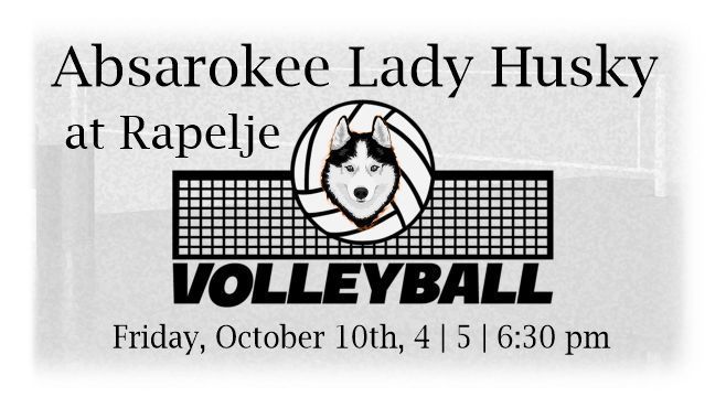 Lady Husky Volleyball