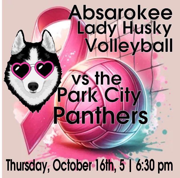 Lady Husky Volleyball and Pack the Pound in Pink!