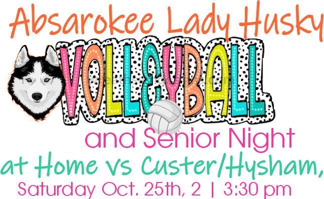 Lady Husky Volleyball