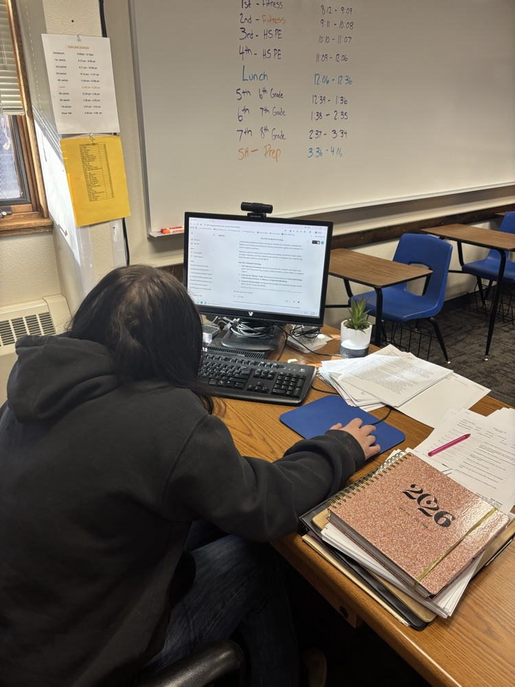 computer and student 