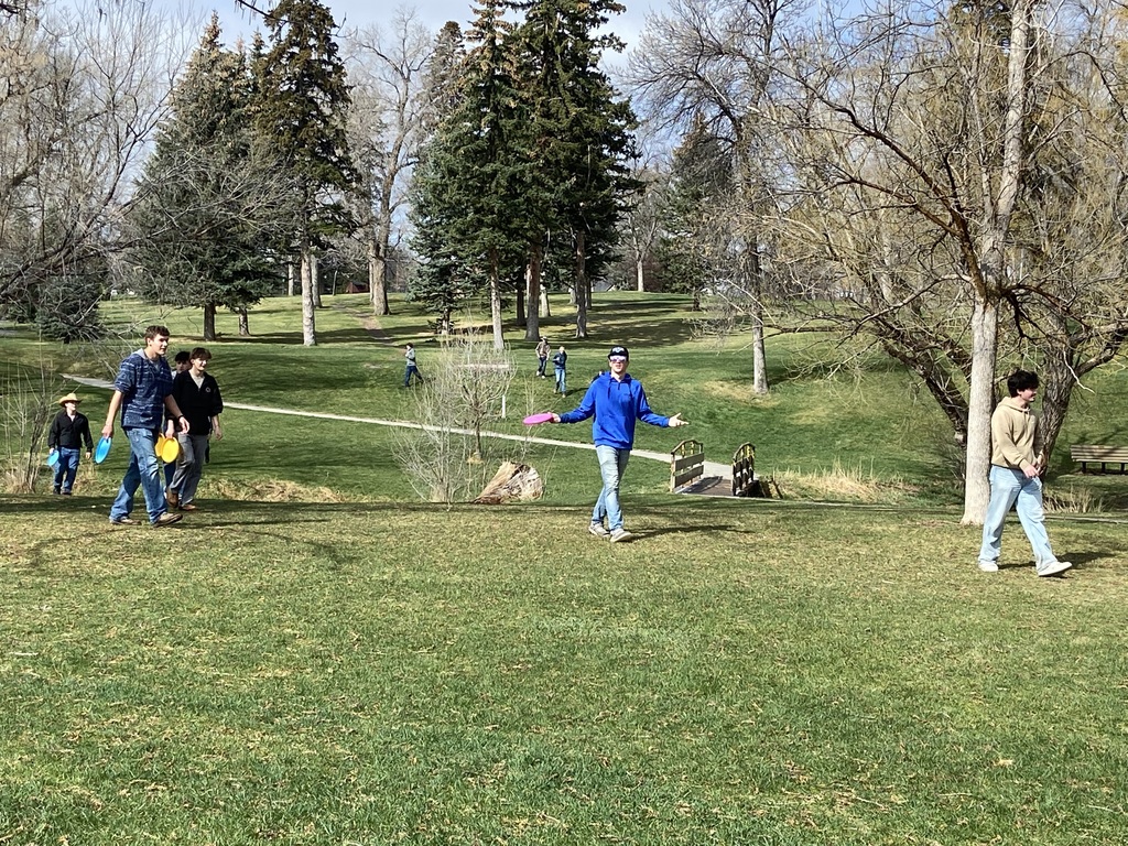 Picture of Folfers at park