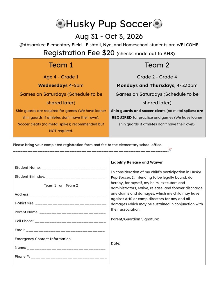 soccer reg form