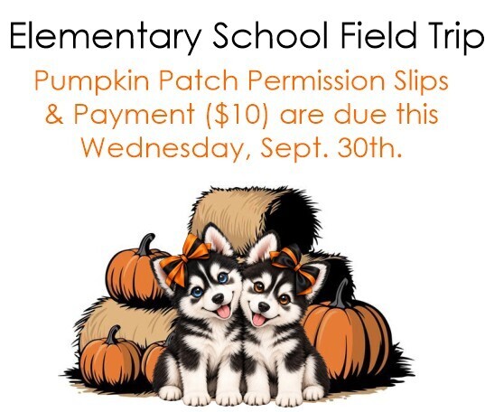 Pumpkin Patch Field Trip