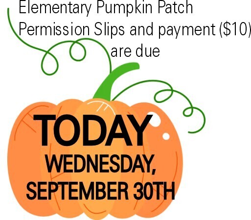 Pumpkin Patch