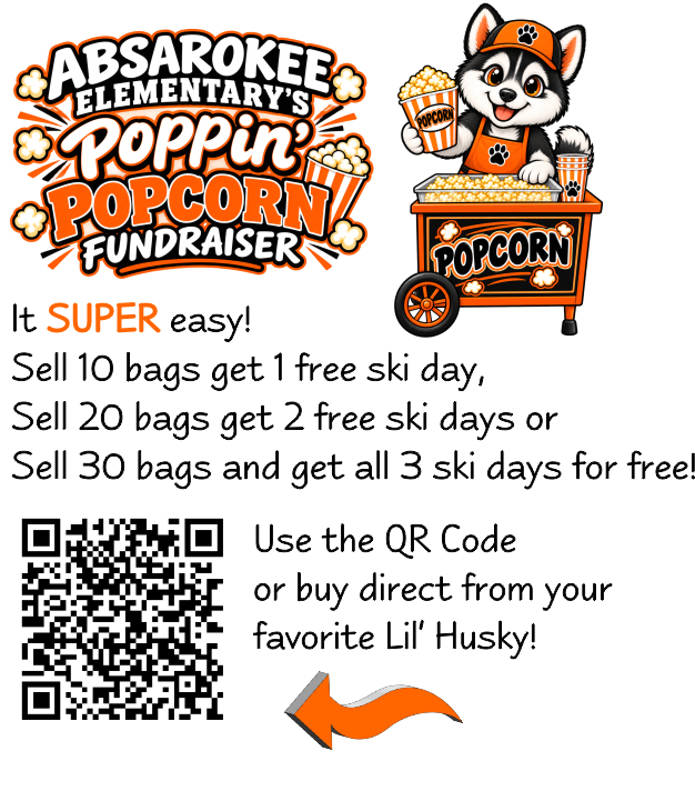 Elementary School Popcorn Fundraiser