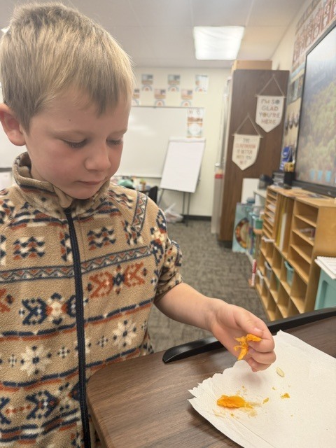 Each student got to feel a pumpkin seed and part of the pumpkin we carved out.