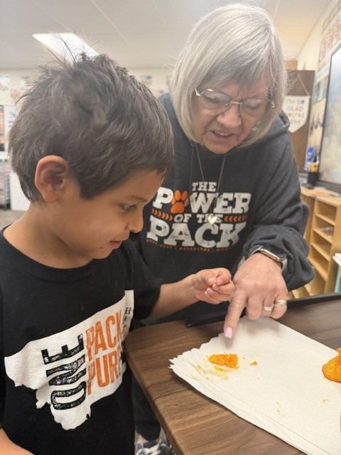 Each student got to feel a pumpkin seed and part of the pumpkin we carved out.