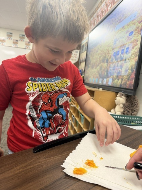 Each student got to feel a pumpkin seed and part of the pumpkin we carved out.