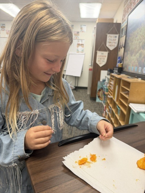 Each student got to feel a pumpkin seed and part of the pumpkin we carved out.