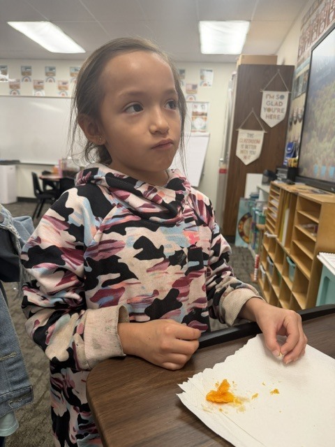 Each student got to feel a pumpkin seed and part of the pumpkin we carved out.