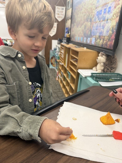 Each student got to feel a pumpkin seed and part of the pumpkin we carved out.