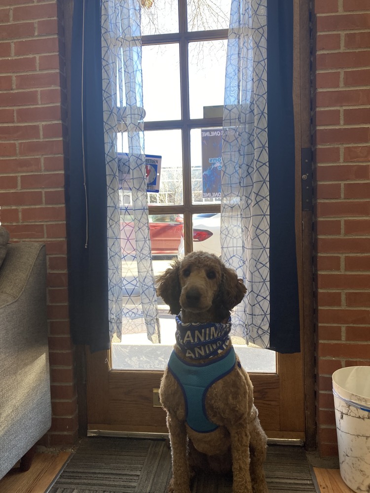 NEW Operations Office Opens in Pueblo!