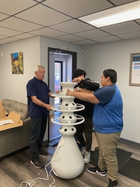 AOLA Online Lettuce Grow Project