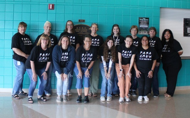 paraprofessionals