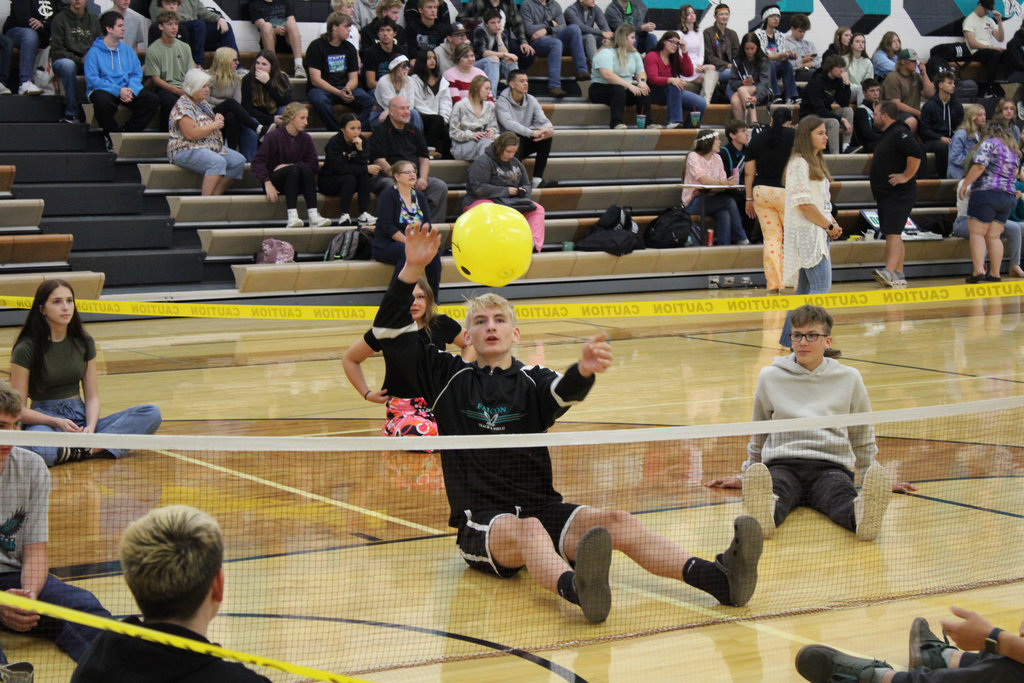 Volleyball