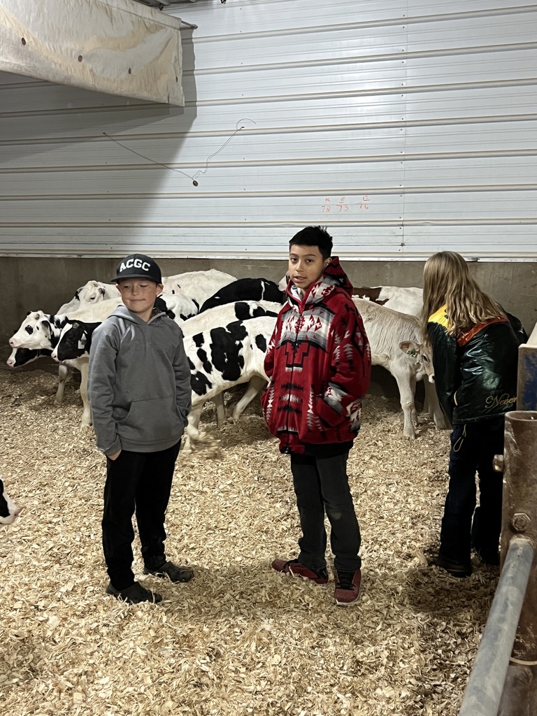 CoJo Dairy