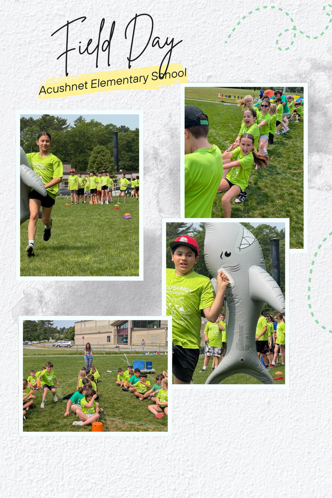 Field Day