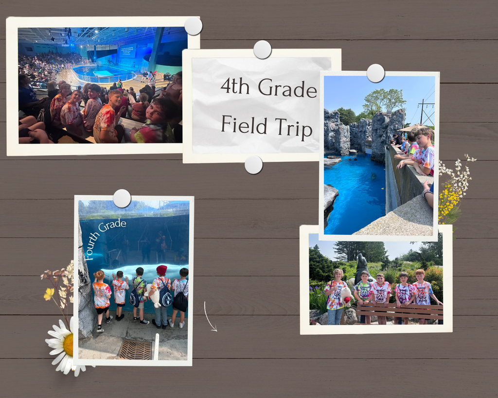 Field Trip