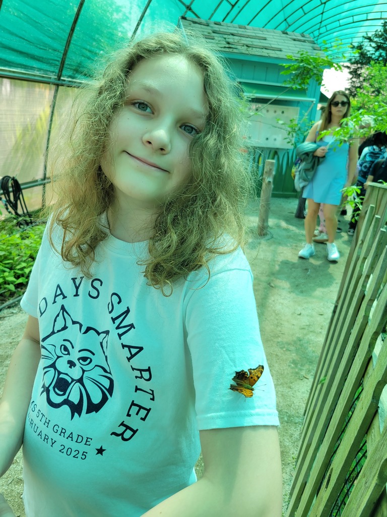 Butterfly 