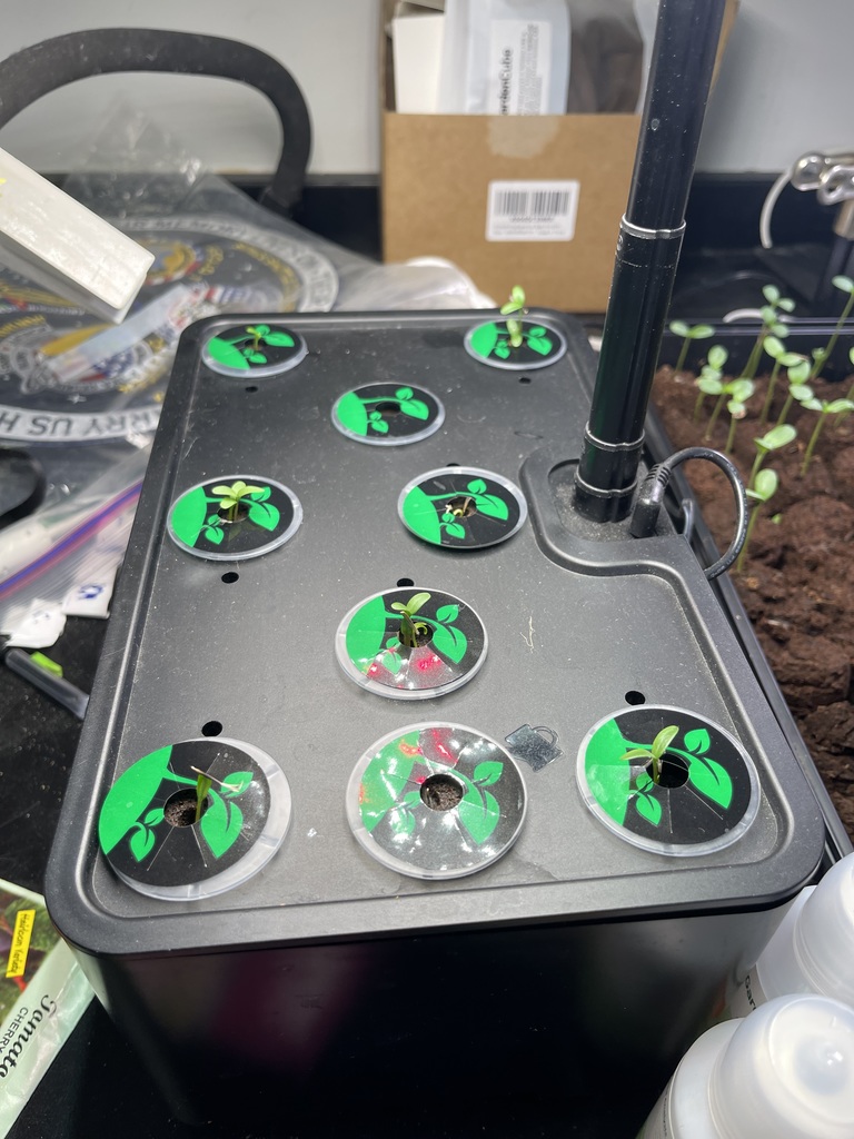 Garden Club