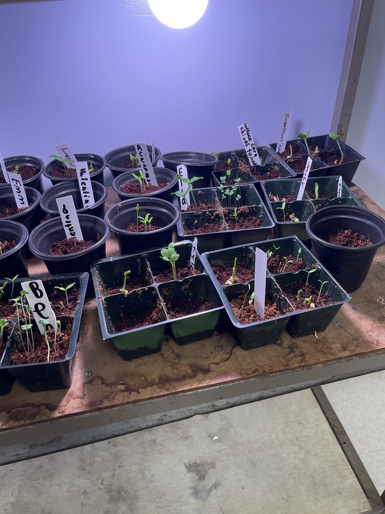 Garden Club