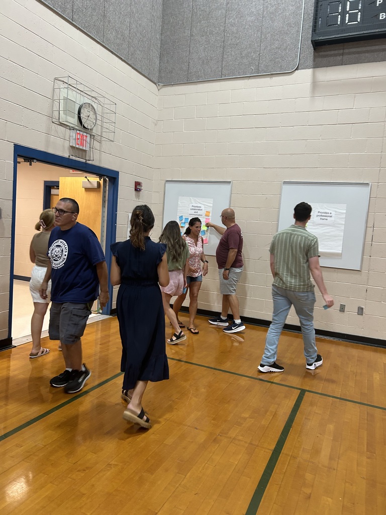 Professional Learning