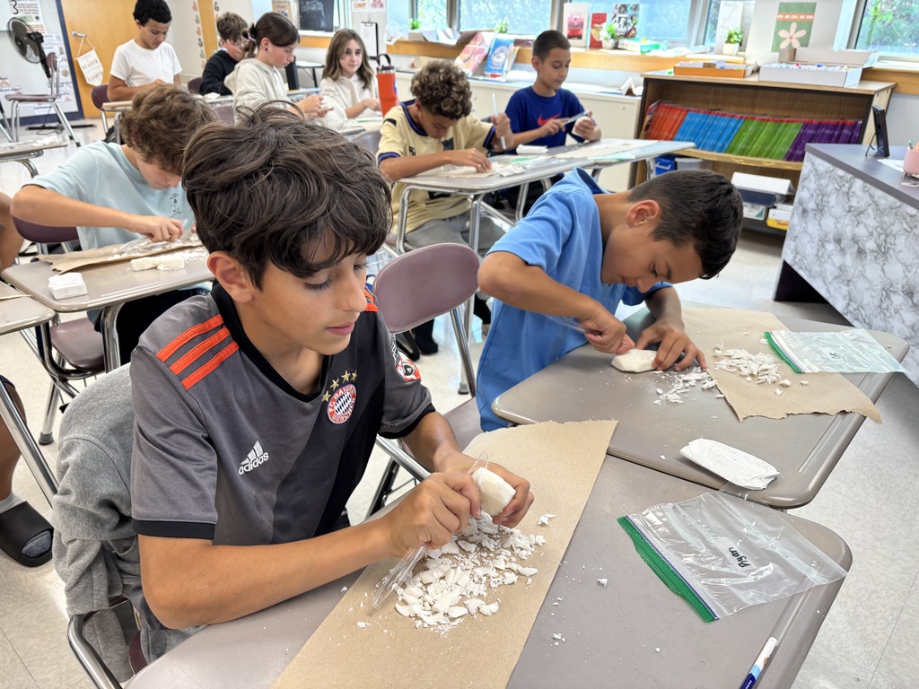 Investigating History