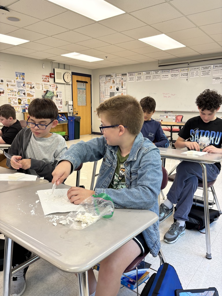 Investigating History