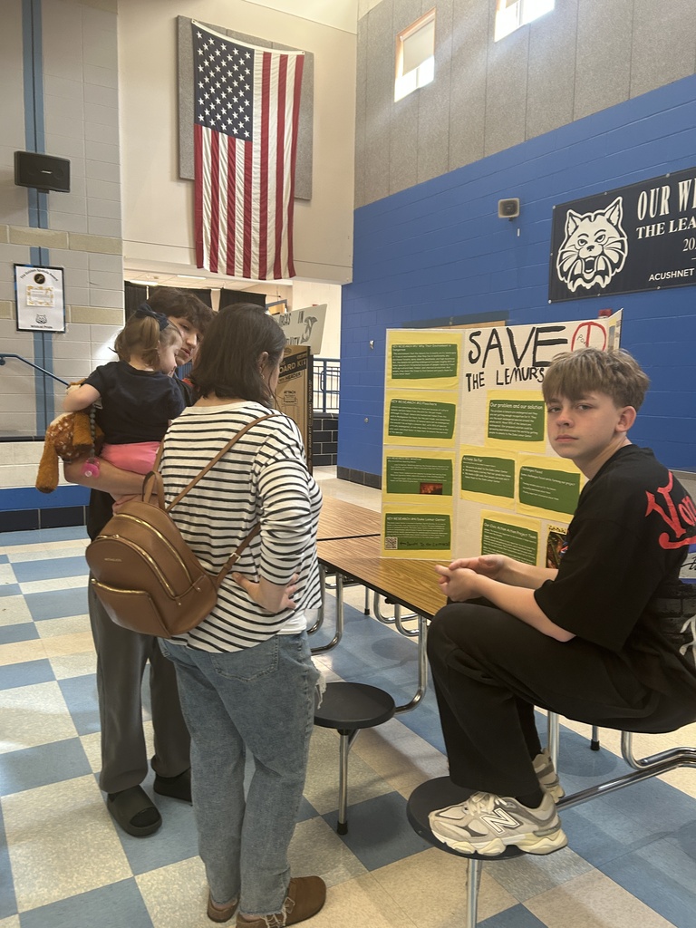 Civics Action Projects