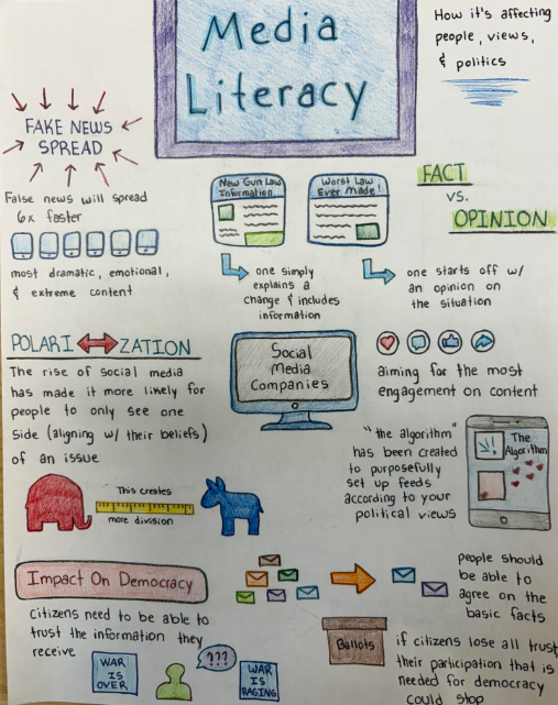 Media Literacy. Fact versus Opinion graphic