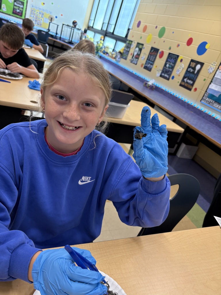 Fifth Grade Scientists at Work! Our fifth graders took learning to a new level as they explored owl diets and food chains through hands-on owl pellet dissections! Students carefully examined, identified, and classified bones to discover what their owls had eaten — turning curiosity into real scientific investigation.