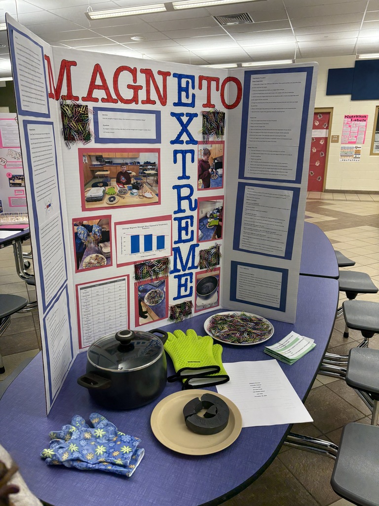 Science fair presentation