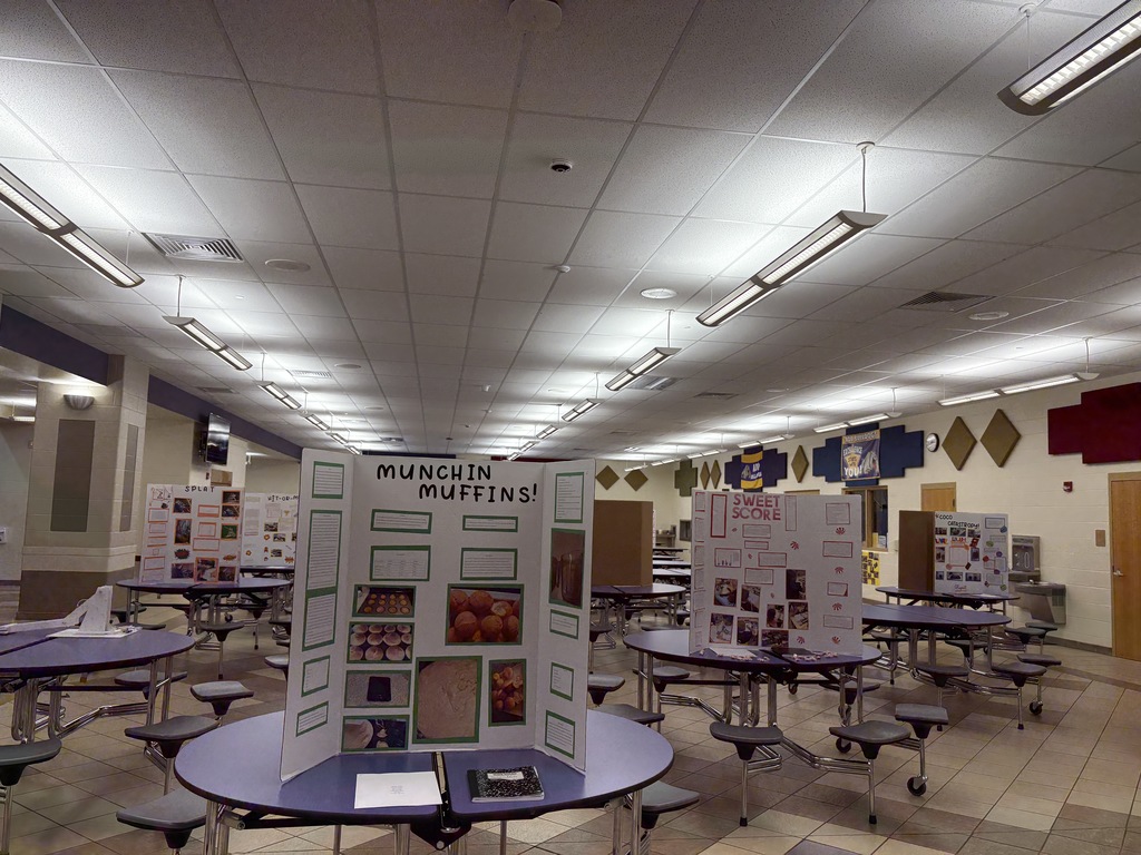 Science fair presentation