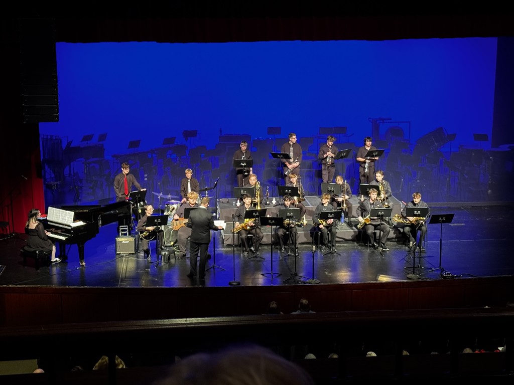 Ada High School band and choir students recently participated in the Ohio Music Education Association (OMEA) District 3 Honor’s Concert