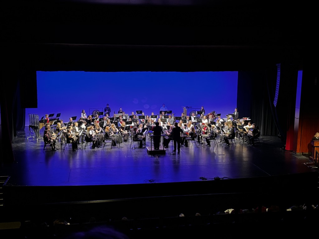 Ada High School band and choir students recently participated in the Ohio Music Education Association (OMEA) District 3 Honor’s Concert