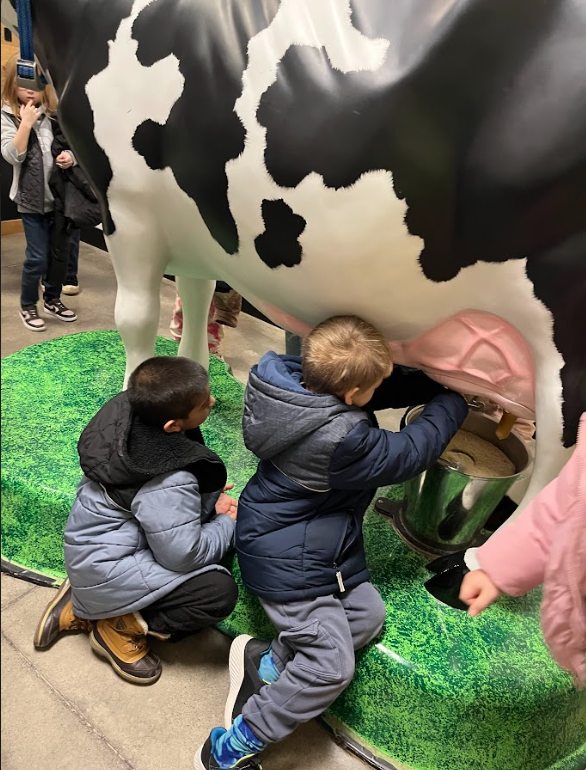 First Grade Field Trip to MVP Dairy