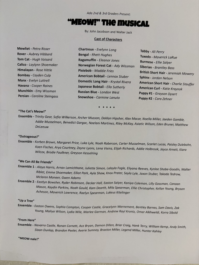 Meow, the musical program