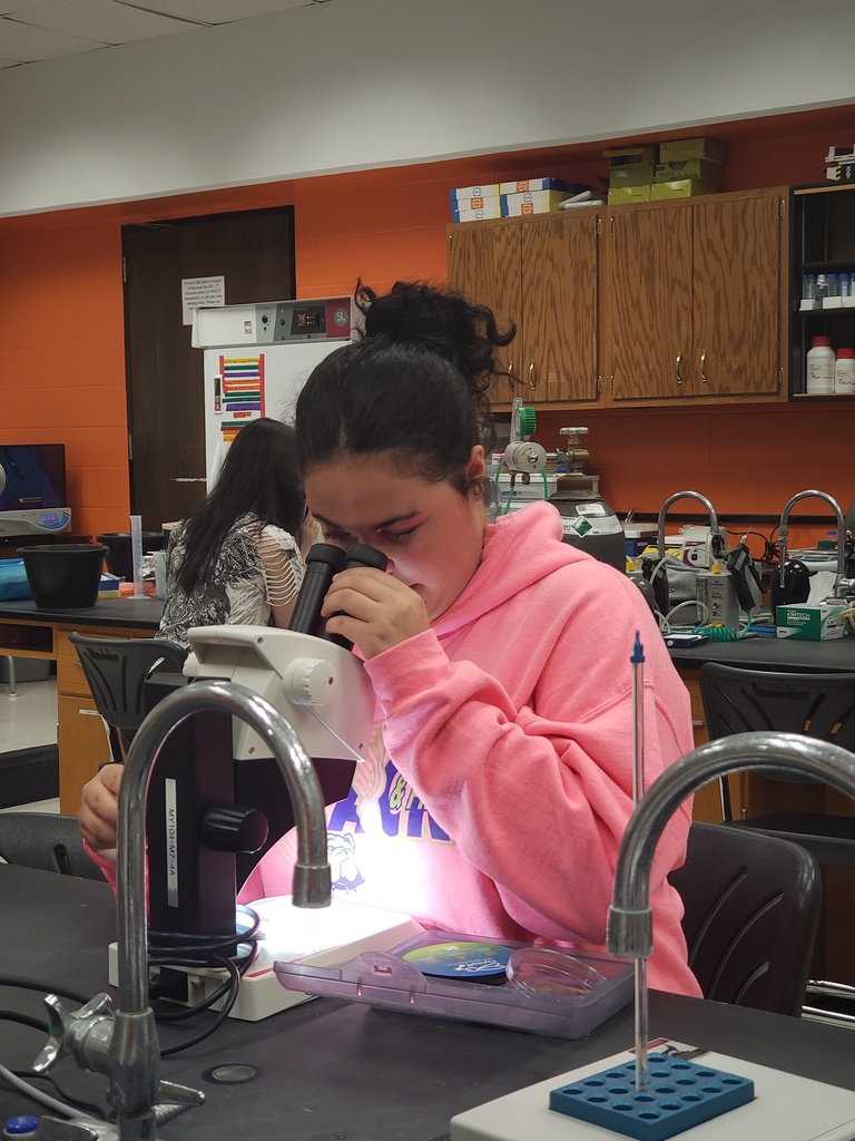 Anatomy & Physiology students recently had an incredible hands-on learning experience at Ohio Northern University during a Science Workshop Da