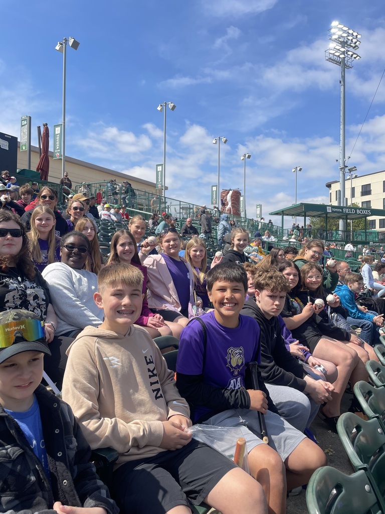 students sitting in stands at baseball game
