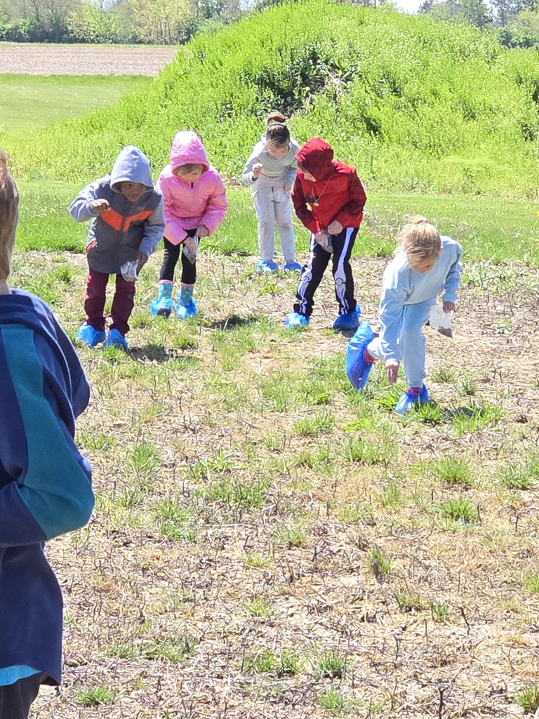Students walking in the dirt planting seeds