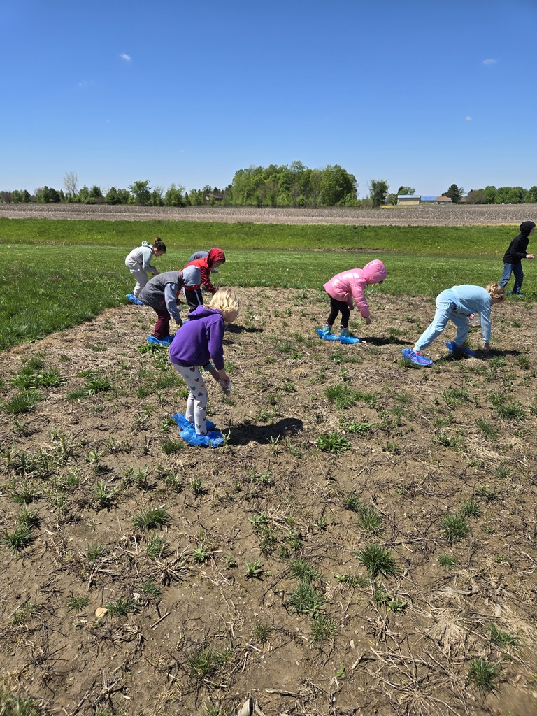 Students walking in the dirt planting seeds