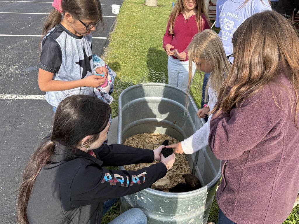 High School Students working with elementary students