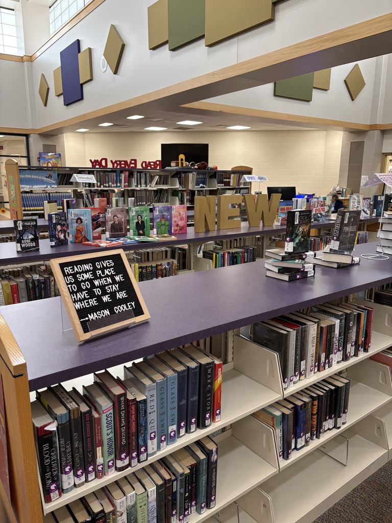 Library book shelves